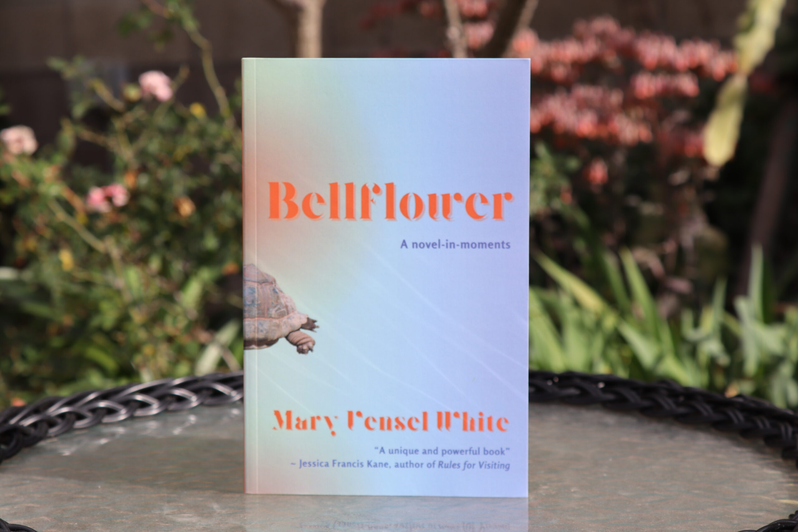 Bellflower - Image 3