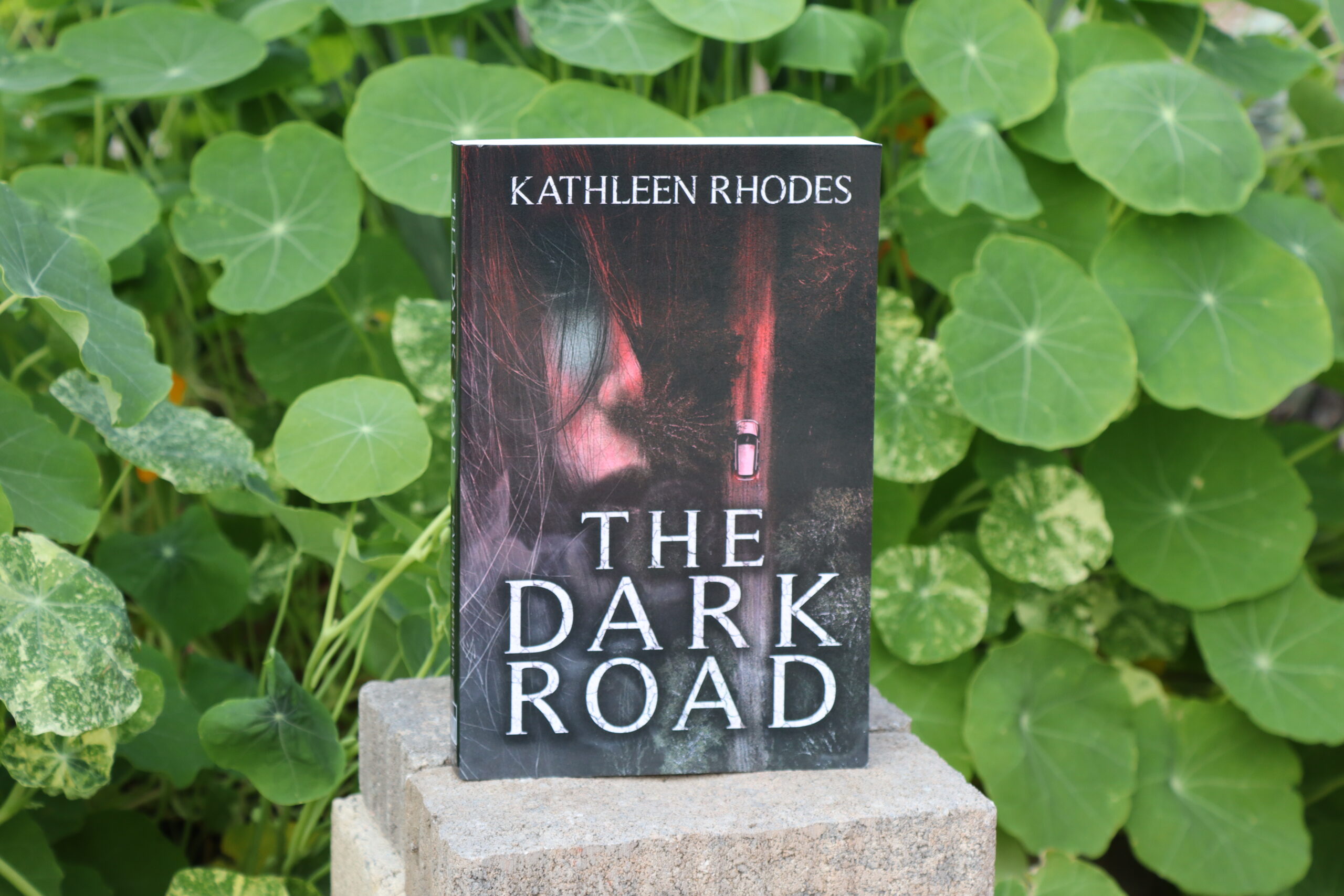 The Dark Road - Image 2