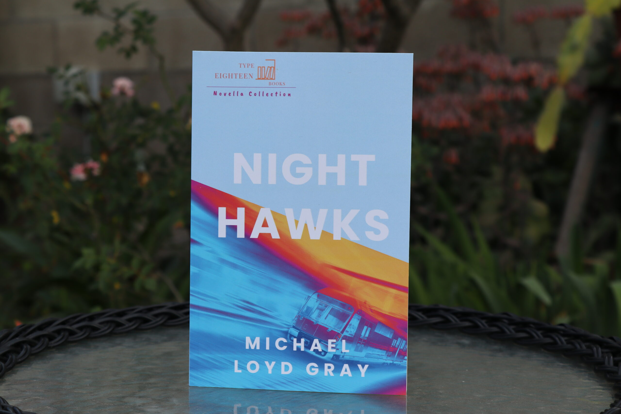 Night Hawks - Image 2