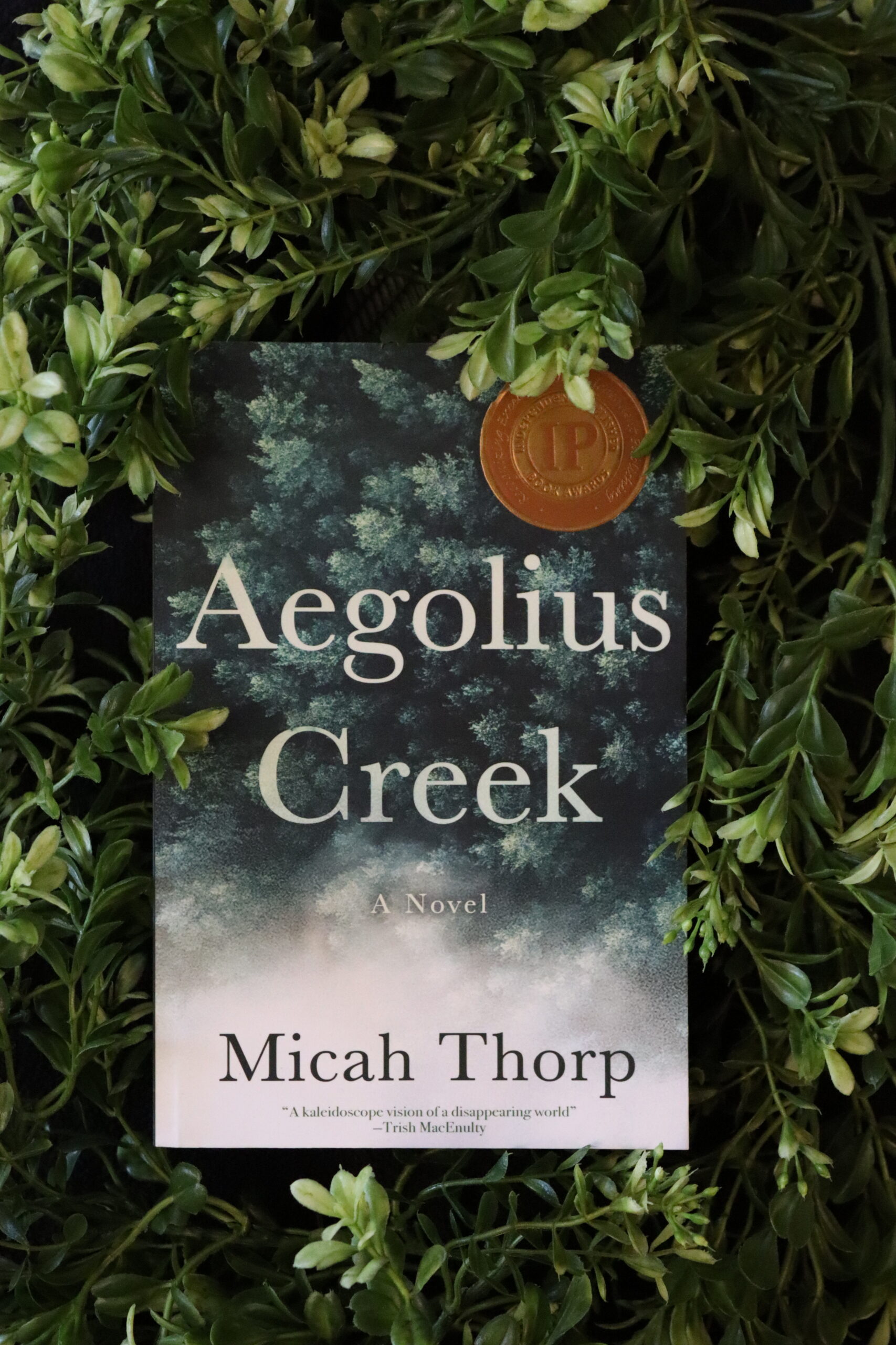 Aegolius Creek - Image 3