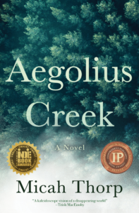 Aegolius Creek