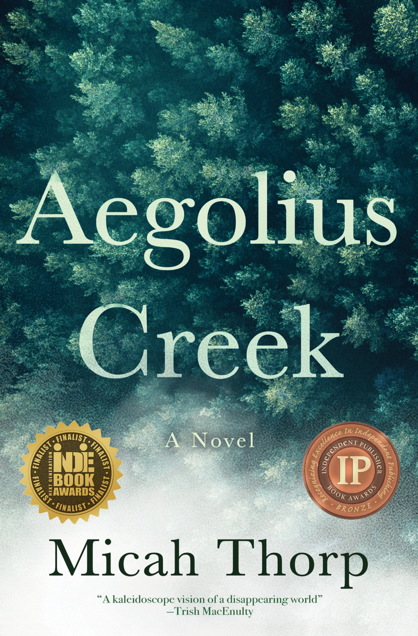 Aegolius Creek